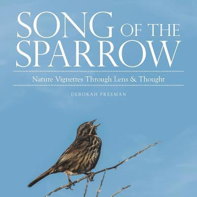 Deborah Freeman - Song of the Sparrow, Häftad. Tillgänglighet: Lägg i varukorg