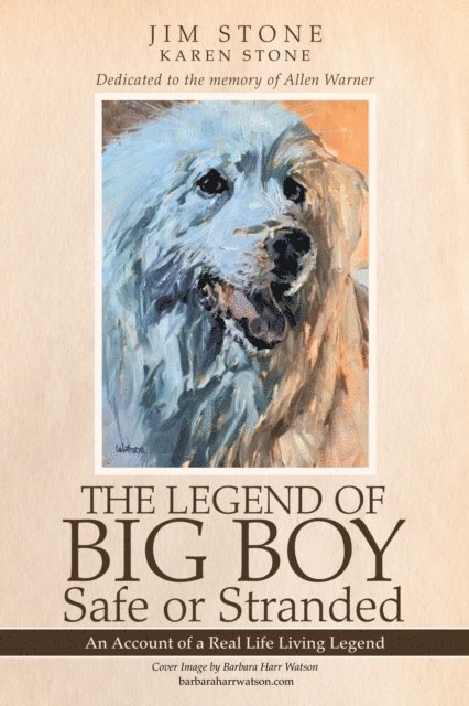 Karen Stone, Jim Stone - Legend of Big Boy Safe or Stranded, E-bok