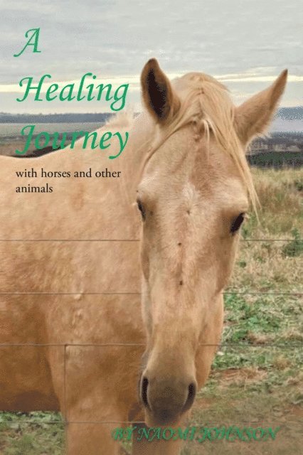 Naomi Johnson - Healing Journey, E-bok. Tillgänglighet: Lägg i varukorg