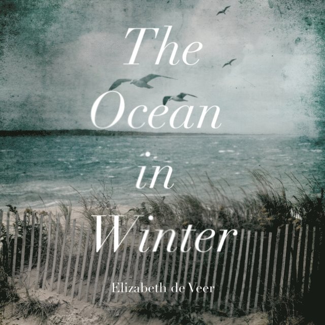 Elizabeth de Veer - Ocean in Winter, Ljudbok