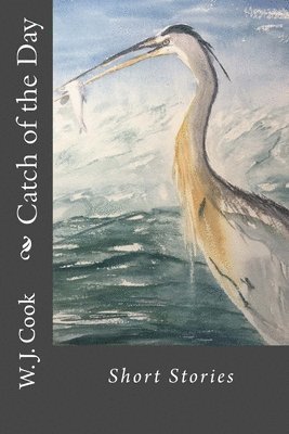 William J. Cook - Catch of the Day, Häftad