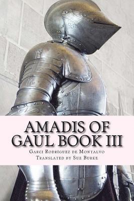 Garci Rodríguez de Montalvo - Amadis of Gaul Book III, Häftad. Tillgänglighet: Lägg i varukorg