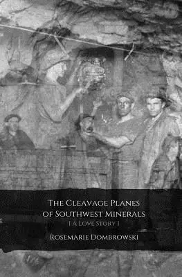 Rosemarie Dombrowski - The Cleavage Planes of Southwest Minerals [A Love Story], Häftad. Tillgänglighet: Lägg i varukorg