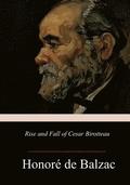 Rise and Fall of Cesar Birotteau
