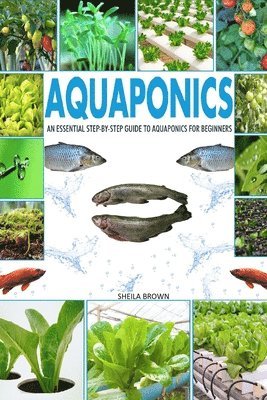Sheila Brown - Aquaponics: An Essential Step-by-Step Guide to Aquaponics for Beginners, Häftad