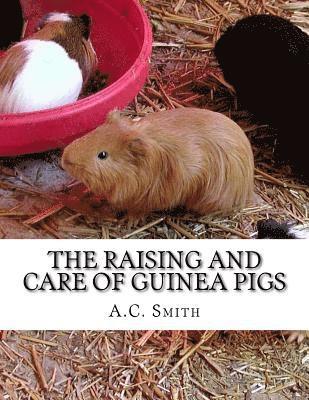 A. C. Smith - The Raising and Care of Guinea Pigs: A Complete Guide to the Breeding and Exhibiting of Domestic Cavies, Häftad