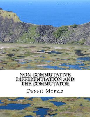 Dennis Morris - Non-commutative Differentiation and the Commutator: The Search for the Fermion Content of the Universe, Häftad. Tillgänglighet: Lägg i varukorg