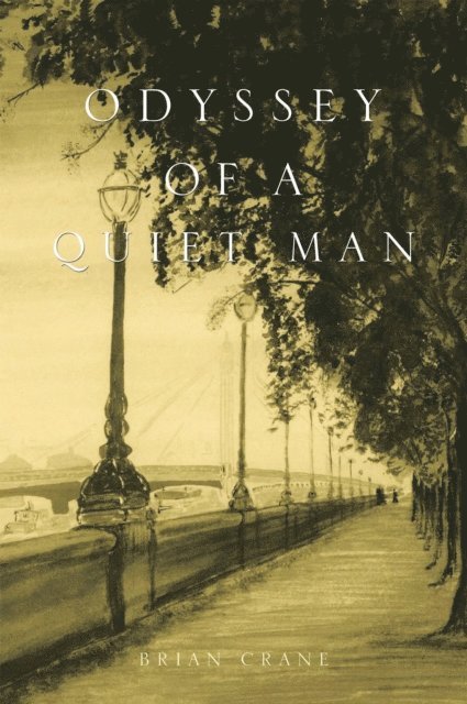 Brian Crane - Odyssey of a Quiet Man, E-bok
