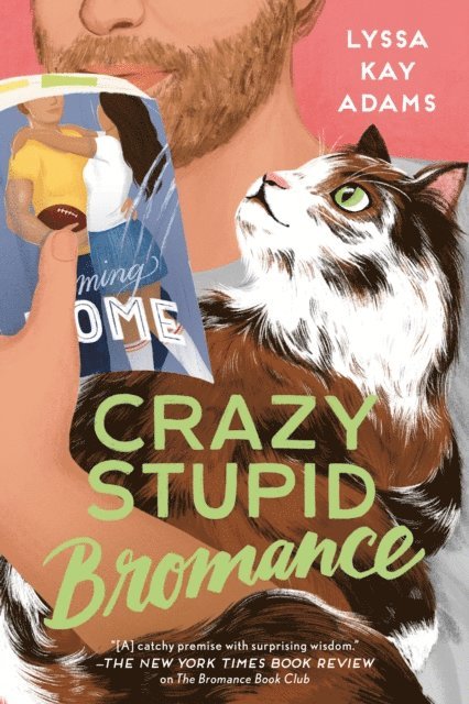 Lyssa Kay Adams - Crazy Stupid Bromance, E-bok