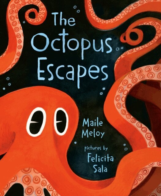 Maile Meloy - Octopus Escapes, E-bok