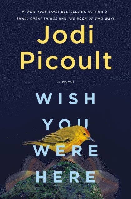 Jodi Picoult - Wish You Were Here, E-bok