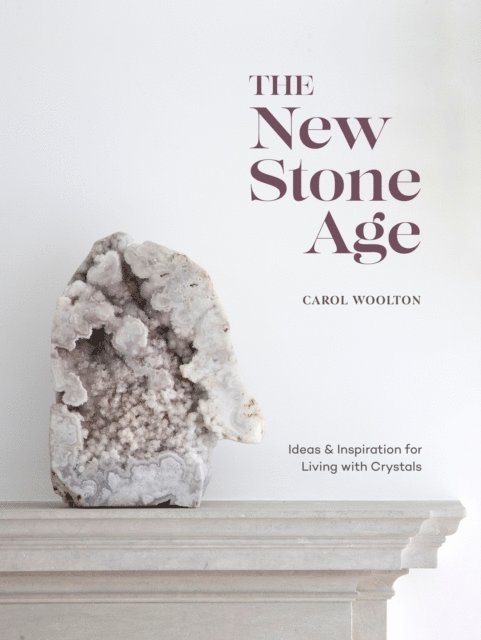 Carol Woolton - New Stone Age, E-bok