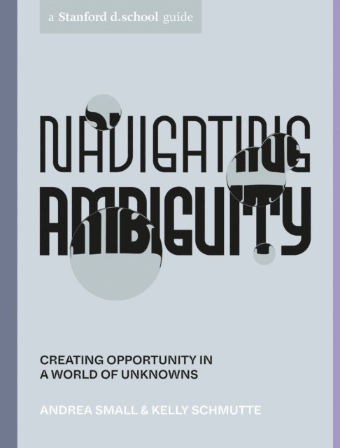 Reina Takahashi, Kelly Schmutte, Andrea Small - Navigating Ambiguity, E-bok