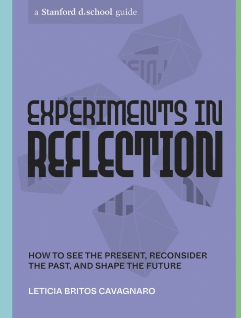 Gabriela Sanchez, Leticia Britos Cavagnaro - Experiments in Reflection, E-bok