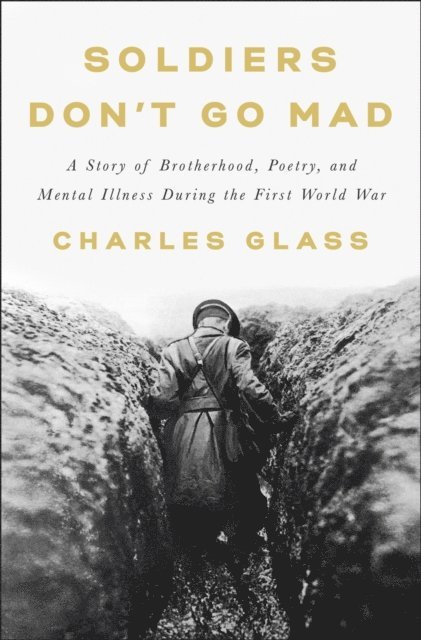 Charles Glass - Soldiers Don't Go Mad, E-bok