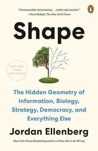 Shape: The Hidden Geometry of Information, Biology, Strategy, Democracy, and Everything Else