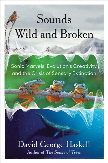 David George Haskell - Sounds Wild and Broken, E-bok