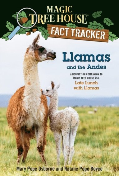 Natalie Pope Boyce, Mary Pope Osborne - Llamas and the Andes, E-bok