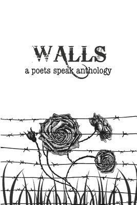 John Roche - Walls, Häftad. Tillgänglighet: Lägg i varukorg