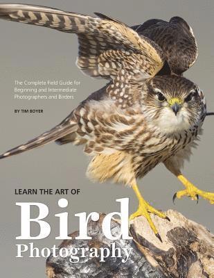 Learn the Art of Bird Photography: The Complete Field Guide for Beginning and Intermediate Photographers and Birders av Tim Boyer