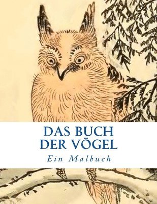 Caroline Von Oldenburg - Buch der Vögel, Häftad. Tillgänglighet: Tillfälligt slut