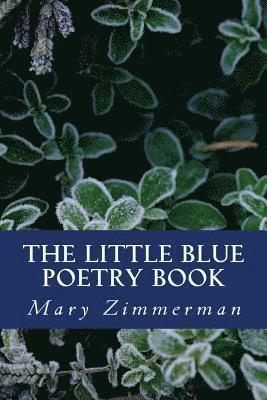 Mary Zimmerman - The Little Blue Poetry Book, Häftad. Tillgänglighet: Lägg i varukorg