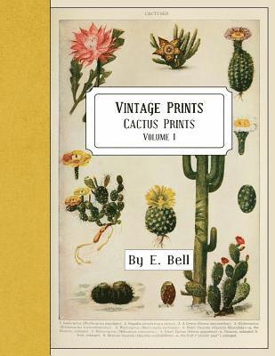 E. Bell - Vintage Prints: Cactus Prints, Häftad