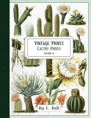 E. Bell - Vintage Prints: Cactus Prints, Häftad
