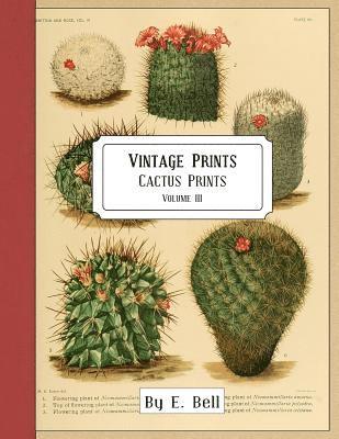 E. Bell - Vintage Prints: Cactus Prints, Häftad
