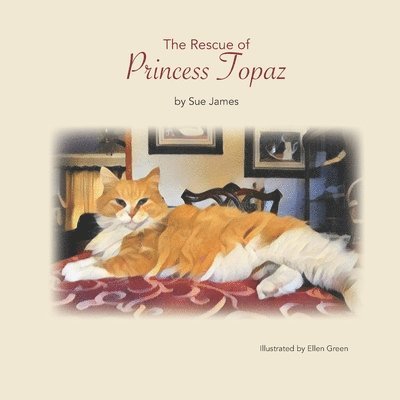Sue James - The Rescue of Princess Topaz, Häftad. Tillgänglighet: Lägg i varukorg