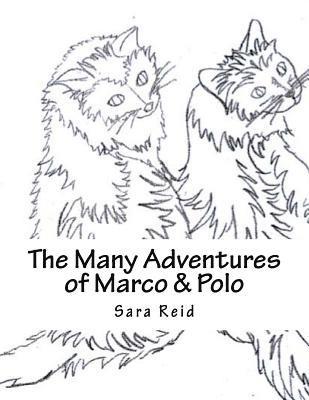 Sara Reid - The Many Adventures of Marco & Polo, Häftad. Tillgänglighet: Lägg i varukorg