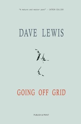 Dave Lewis - Going Off Grid, Häftad