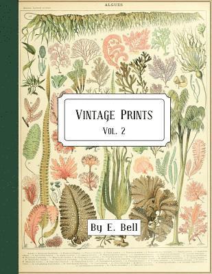 E. Bell - Vintage Prints: Vol. 2, Häftad