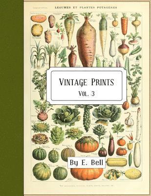 E. Bell - Vintage Prints: Vol. 3, Häftad