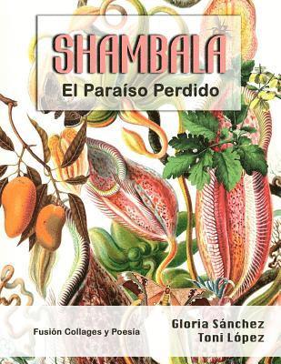 Gloria Sánchez, Toni López - Shambala: El paraíso perdido, Häftad