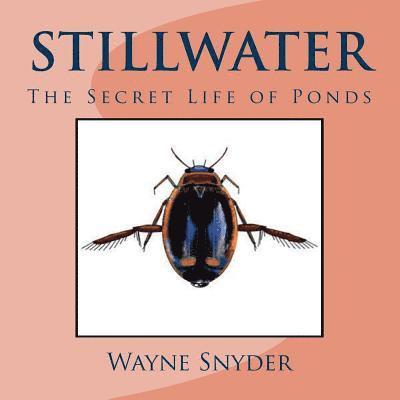 Wayne Snyder - Stillwater: The Secret Life of Ponds, Häftad. Tillgänglighet: Lägg i varukorg