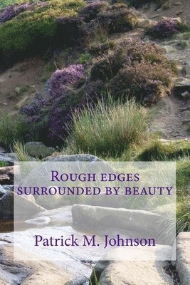 Patrick M. Johnson - Rough Edges Surrounded by Beauty, Häftad. Tillgänglighet: Lägg i varukorg
