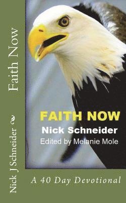 Nick J. Schneider, Melanie Mole - Faith Now: A 40 Day Devotional, Häftad