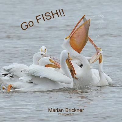 Marian Brickner - Go Fish!, Häftad. Tillgänglighet: Lägg i varukorg