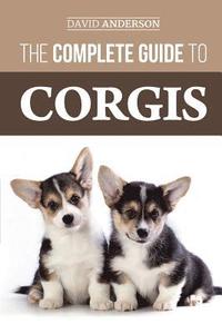 The Complete Guide to Corgis