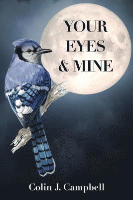 Colin J. Campbell - Your Eyes & Mine, Häftad. Tillgänglighet: Lägg i varukorg
