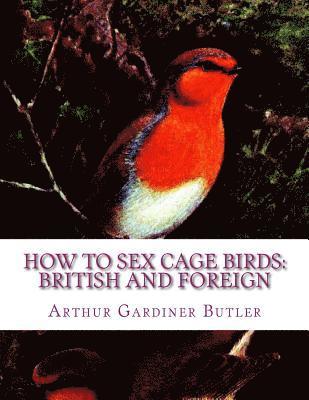 Arthur Gardiner Butler - How To Sex Cage Birds: British and Foreign, Häftad. Tillgänglighet: Lägg i varukorg