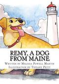 Remy, a dog from Maine