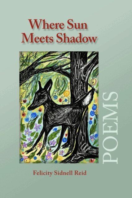Felicity Sidnell Reid - Where Sun Meets Shadow, E-bok