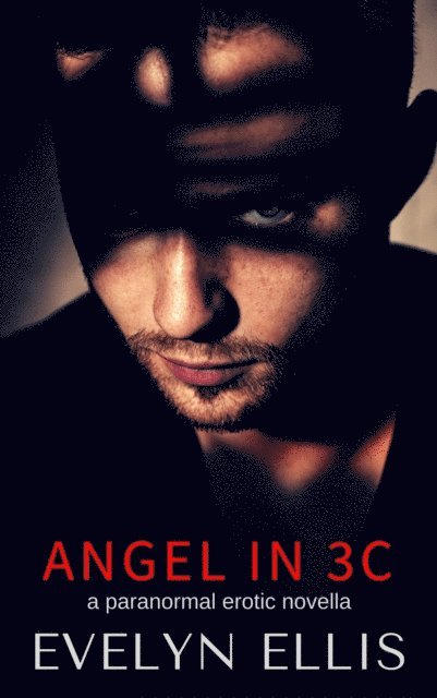 Evelyn Ellis - Angel in 3C, E-bok