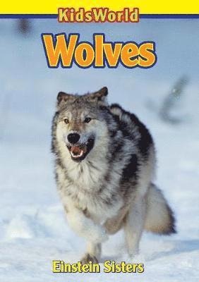 Sheila Einstein - Wolves, Häftad