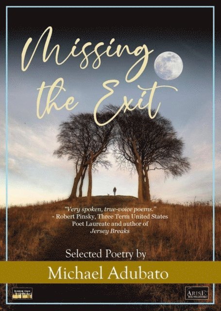Michael Adubato - Missing the Exit, E-bok
