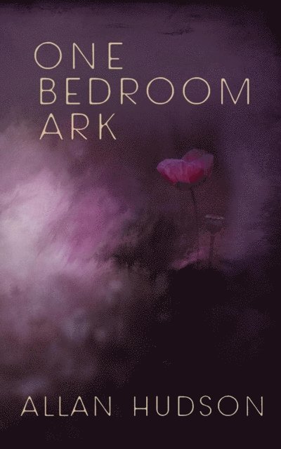 Allan Hudson - One Bedroom Ark, E-bok