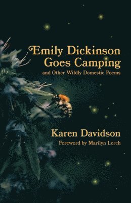 Karen Davidson - Emily Dickinson Goes Camping, Häftad