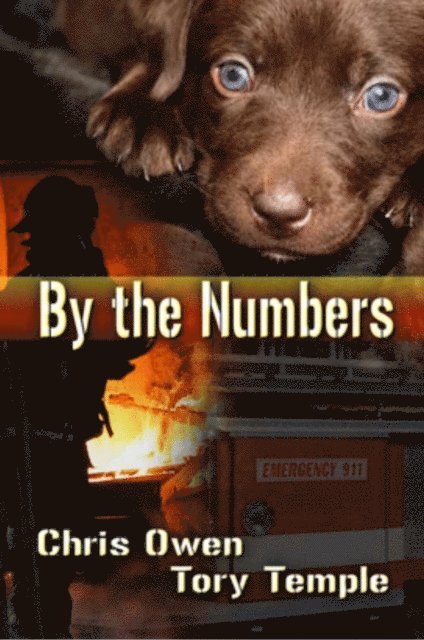 Tory Temple, Chris Owen - By The Numbers, E-bok